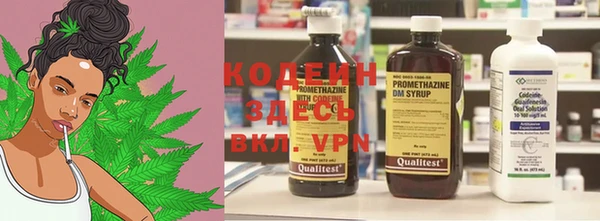спиды Бородино