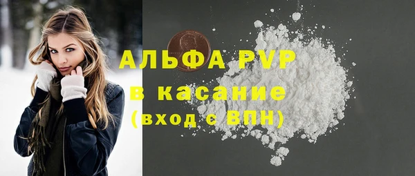 спиды Бородино