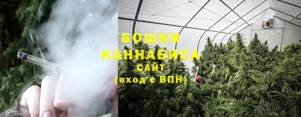 spice Бронницы