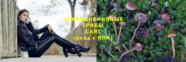 стафф Бугульма