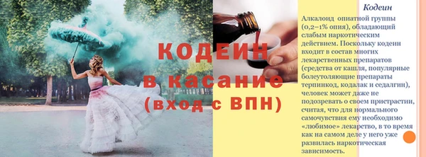 спиды Бородино