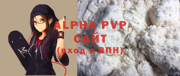 спиды Бородино